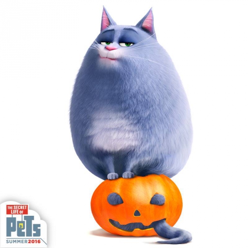 Кошка Хлоя и Хэллоуин