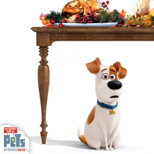 Макс и еда на столе