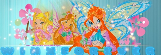 Winx-софикс