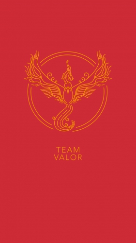 Покемон Го Валор