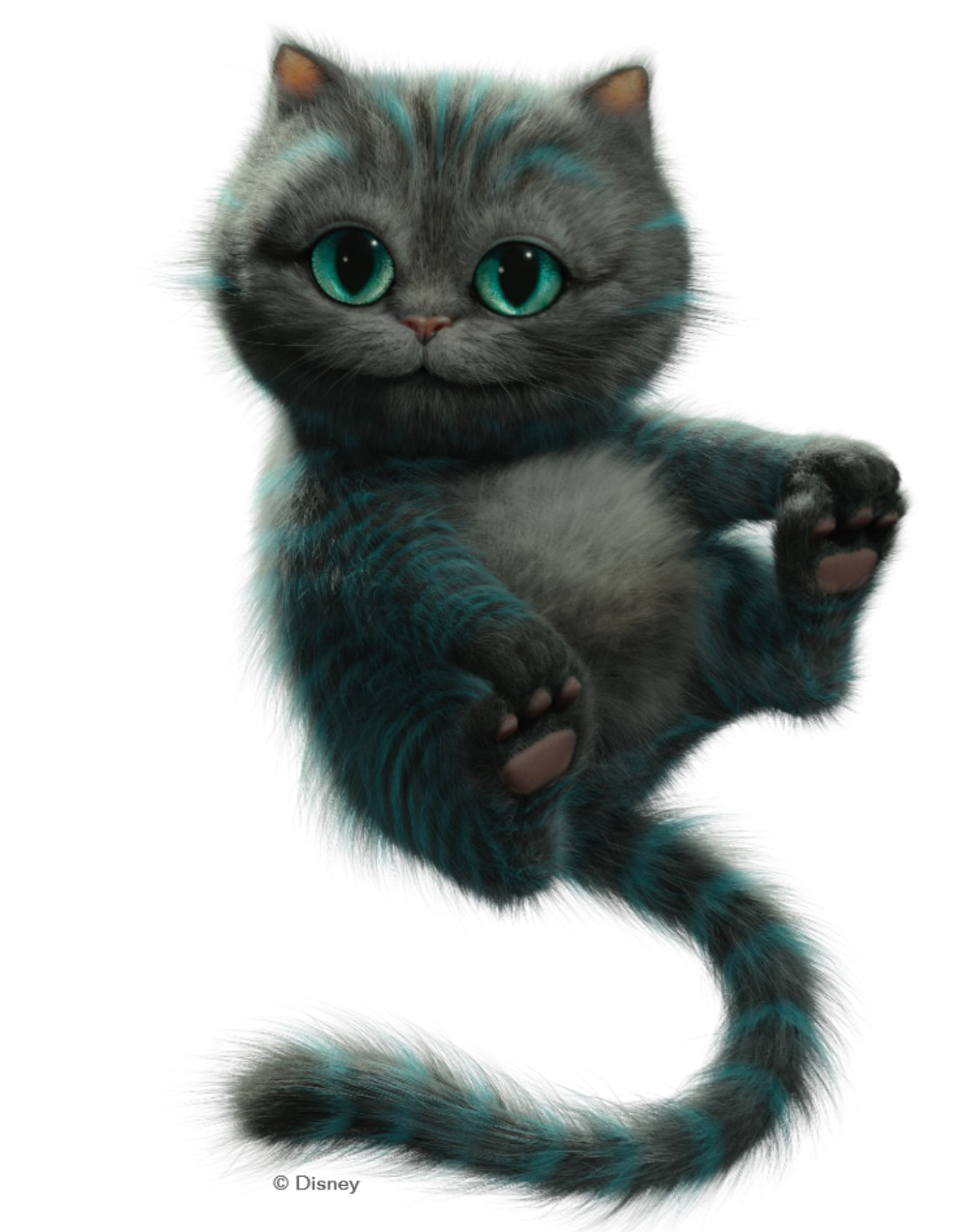 44 котенка картинки