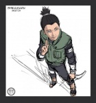 Шикамару вид сверху