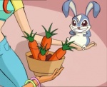 Кико дают морковку