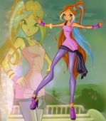 Disko Flora