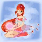Bloom and rose