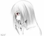 Шики
