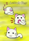 Коте