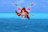 Fly