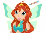 Для coolla winx