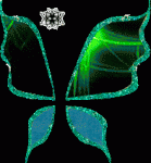 Тёмный крылья Флоры