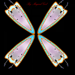 Флайрикс феи противоположностей