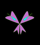 Крылья Гламурикса Рокси:1 вариант