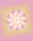 Цветок на заказ 4