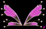 Shineix wings