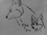 Киба и Гин