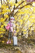Кукла Рошель Гойл с чемоданом