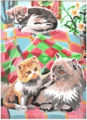 Мои любимые коты))
