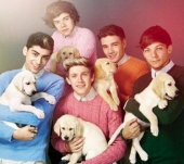 One Direction с щенками