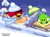 Angry Birds на санках