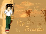 Шаман Король Йо