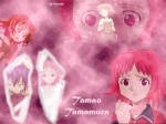 Тамао обойка