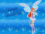 Bloom Believix