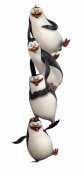 Пингвины из Мадагаскара вместе