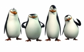 Пингвины из Мадагаскара на одной картинке