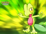 Покемоны новые обои, Treecko