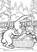 Раскраска Маша и Медведь, Кролик собирает морковку