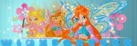 Winx-софикс