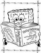 Раскраска Спанч Боб читает книгу