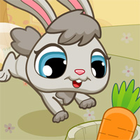 Игра накорми кролика морковкой