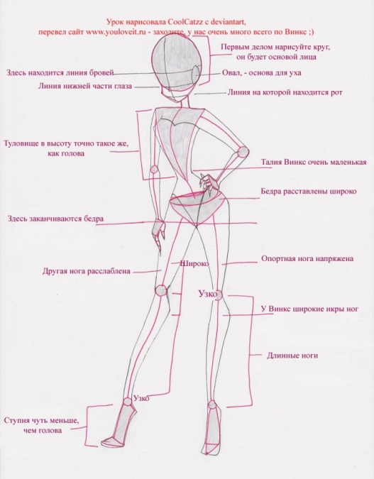 Урок - рисунок, важные пропорции Винкс.