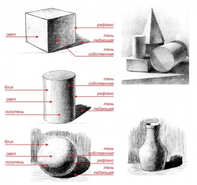 Урок рисования: передача формы с помощью света