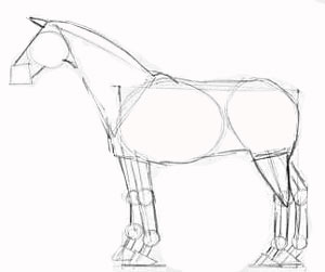 Как рисовать лошадь