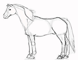 Как рисовать лошадь