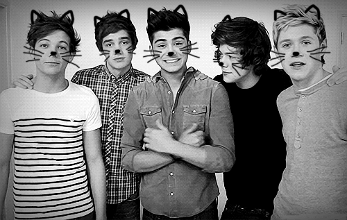 One Direction: большие анимации One Direction: большие анимации