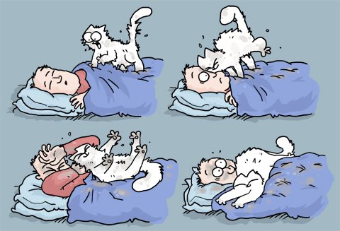 Картинки с котом Саймона Картинки с котом Саймона