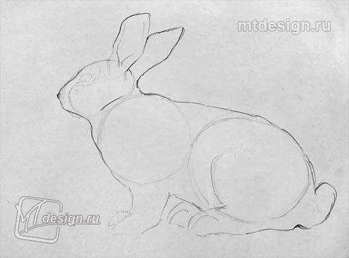 Урок рисования кролика гуашью
