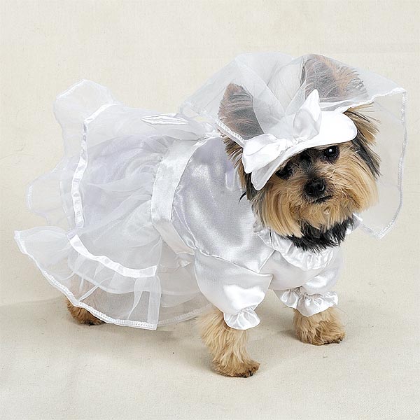 Собаки в свадебных платьях