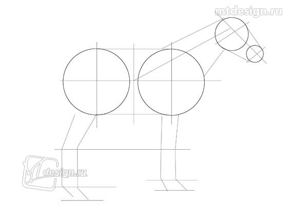 Рисуем лошадь карандашом: построение рисунка