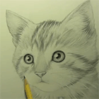 Видео урок рисования котенка карандашом