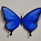 Урок рисования бабочки пастелью
