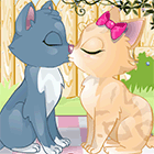 Поцелуйчики: игра с влюбленными котятами
