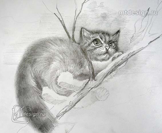 Рисунок котёнка карандашом для детей