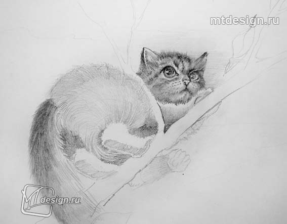 Котенок на дереве карандашом