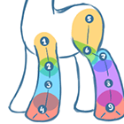 Как рисовать пони: учимся рисовать ноги