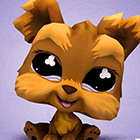 Животные Littlest Pet Shop в 3D