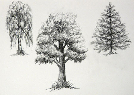 Как рисовать лиственные и хвойные деревья
